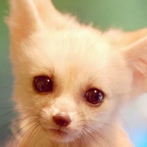 Meet your Posher, Beth